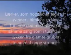 Descubre la belleza de Dinamarca bajo la luz de la noche: Danmark nu blunder den lyse nat