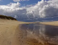 Descubre el Parque Nacional de Mols Bjerge en un emocionante tour en segway: una aventura única en Dinamarca