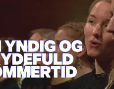 Descubre cómo disfrutar al máximo de la yndig og frydefuld sommertid