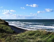 Descubre la belleza natural de Rold Skov: Explorando la reserva más impresionante