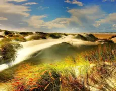 Descubre la belleza del Fiordo de Limfjord en Dinamarca: una joya natural por explorar