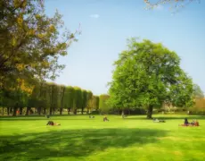 Descubre la belleza natural del Lago Ulbjerg en Dinamarca: un destino imperdible