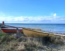 Descubre la belleza de la Laguna de Vejle en Dinamarca: Un paraíso natural por explorar