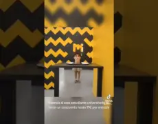 Descubre la historia y el encanto del Museo de Køge en la encantadora ciudad de Køge