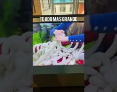 Descubre el encanto del Museo de la Infancia en Copenhague y revive tu niñez