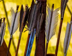 Descubre la belleza natural del Parque Nacional Thy en Dinamarca: Un destino imperdible para los amantes de la naturaleza