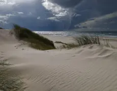 Descubre la belleza natural del Parque Nacional Wadden Sea en Dinamarca: Un tesoro escondido en Europa