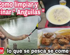 Descubre el auténtico sabor de las anguilas fritas con nuestra receta de stegte ål