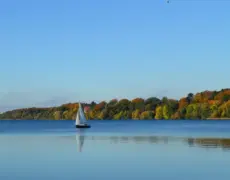 Explora la belleza de Langeland: Paseo en carro de caballos por sus encantadoras colinas