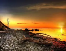 Descubre la belleza del lago Furesø al amanecer con un tour en barco imperdible