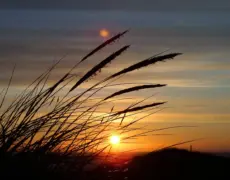 Descubre los encantos de Rønne: la joya turística de Dinamarca