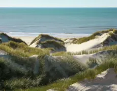 Descubre los encantos de Svendborg: el destino ideal para tu próximo viaje de turismo